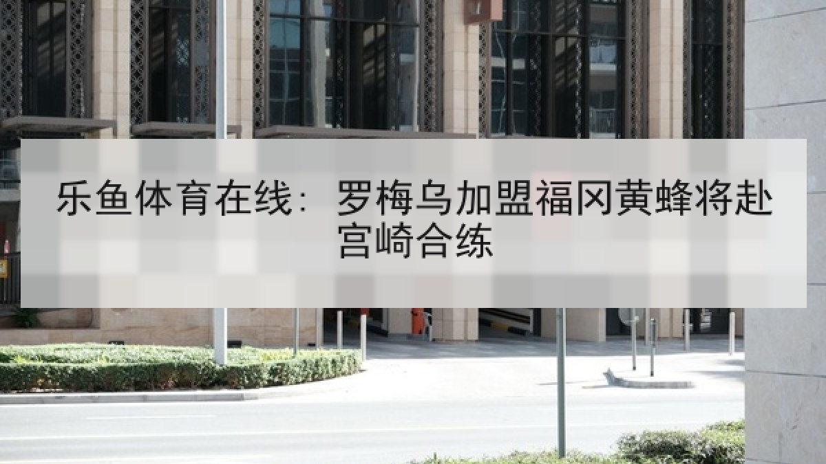 乐鱼体育在线: 罗梅乌加盟福冈黄蜂将赴宫崎合练