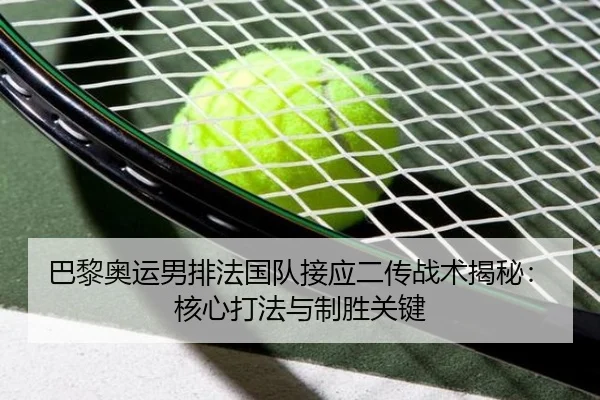 巴黎奥运男排法国队接应二传战术揭秘：核心打法与制胜关键