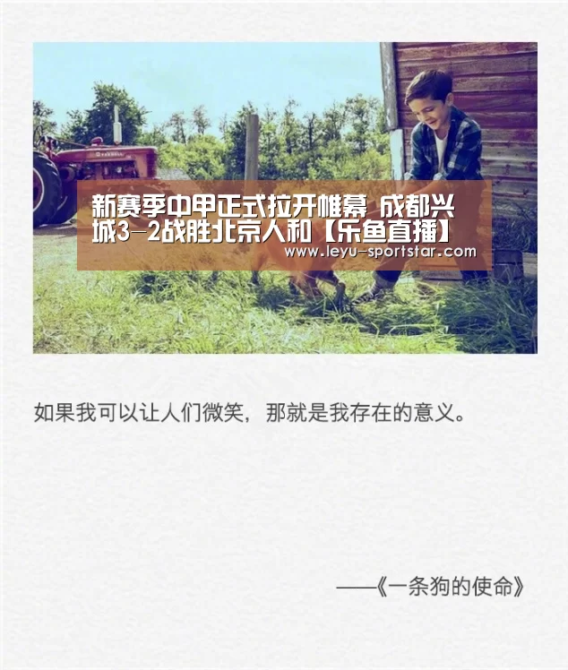 乐鱼体育APP
