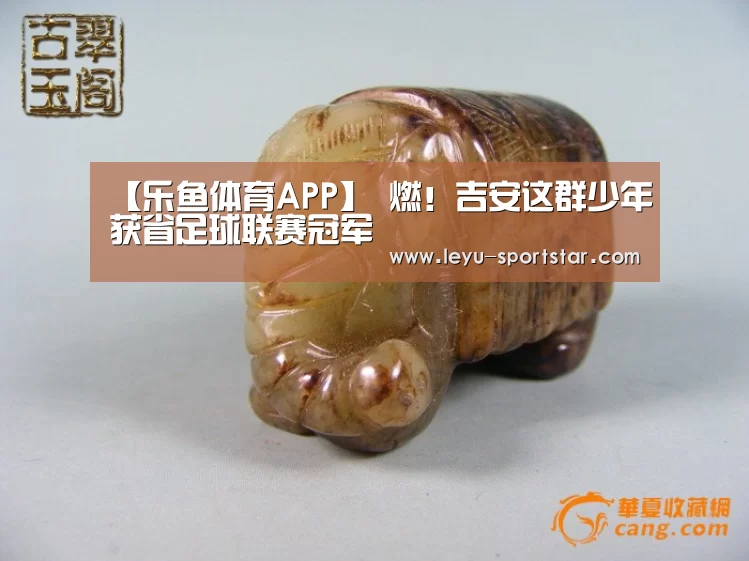 乐鱼体育APP